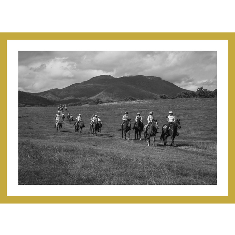 Limited Edition Print Tour d’Horse Print - MILES OF MEANING