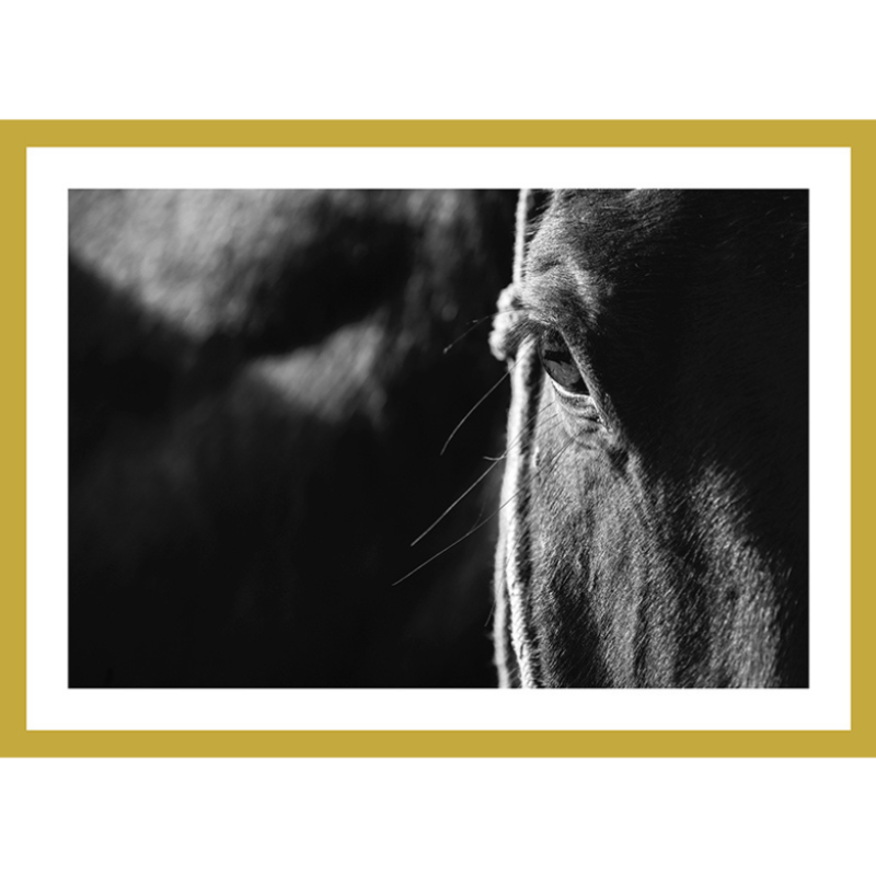 Limited Edition Print Tour d’Horse Print - THE WATCHFUL SOUL