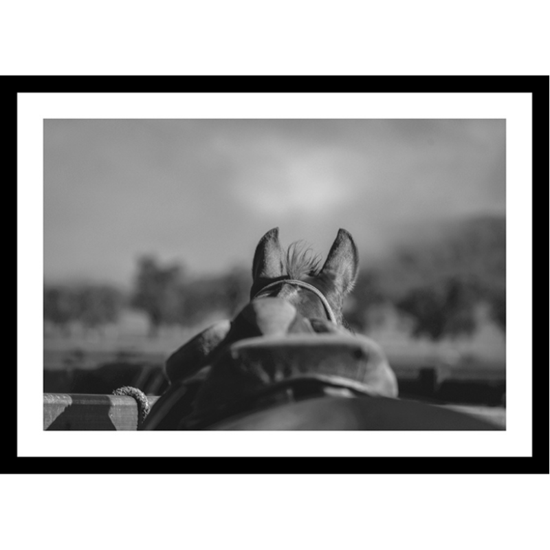 Limited Edition Print Tour d’Horse Print - BETWEEN THE EARS