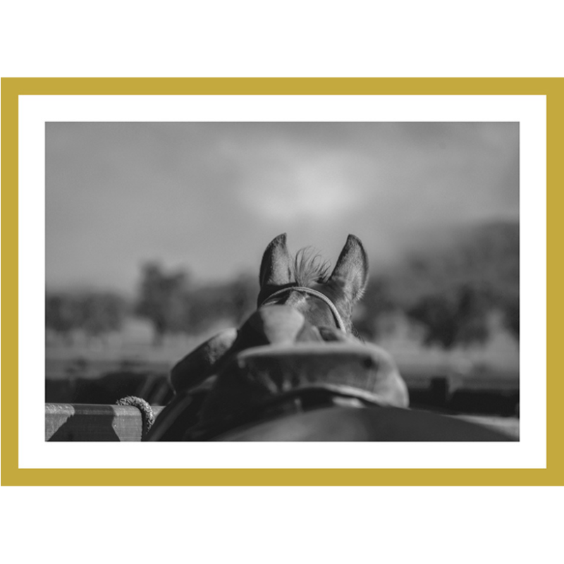 Limited Edition Print Tour d’Horse Print - BETWEEN THE EARS
