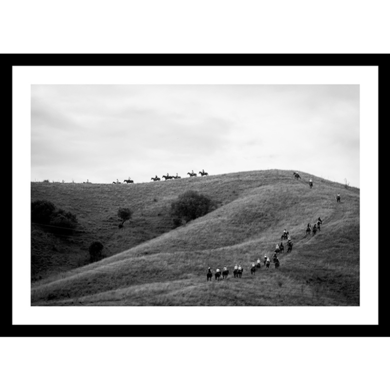 Limited Edition Print Tour d’Horse Print - TOGETHER WE CLIMB