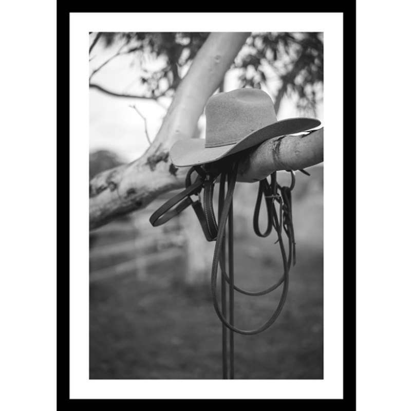 Limited Edition Print Tour d’Horse Print - SHADED BY PURPOSE