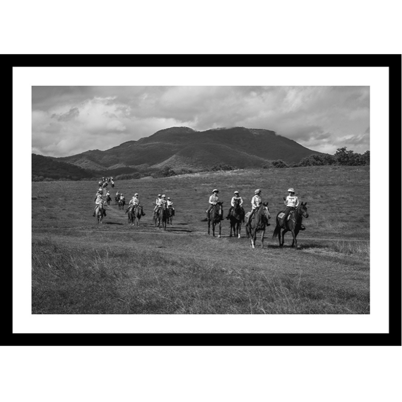 Limited Edition Print Tour d’Horse Print - MILES OF MEANING