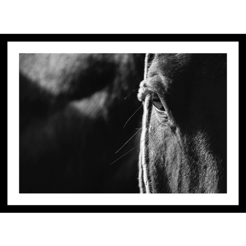 Limited Edition Print Tour d’Horse Print - THE WATCHFUL SOUL